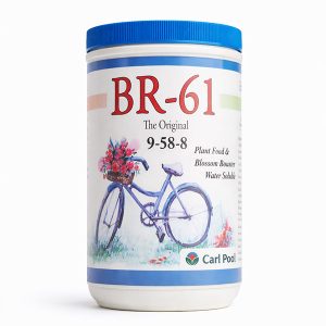 BR 61 Big size (24oz)